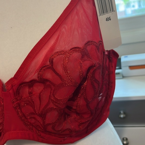 Gorgeous NWT red Paramour bra. Size 40G - Picture 2 of 4